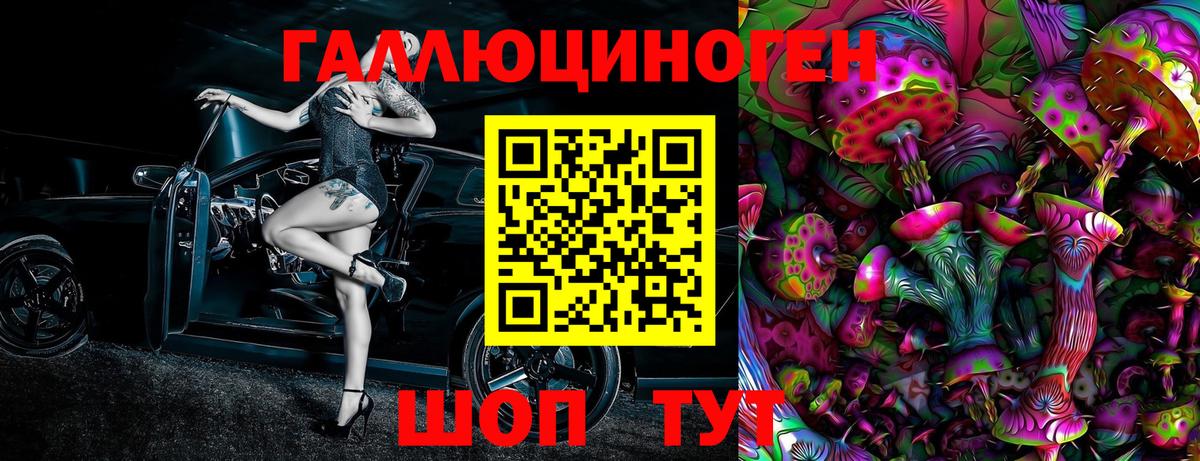 Мирный  наркошоп  Вход с VPN  Псилоцибиновые грибы Cubensis  Галлюциногенные грибы GOLDEN TEACHER 