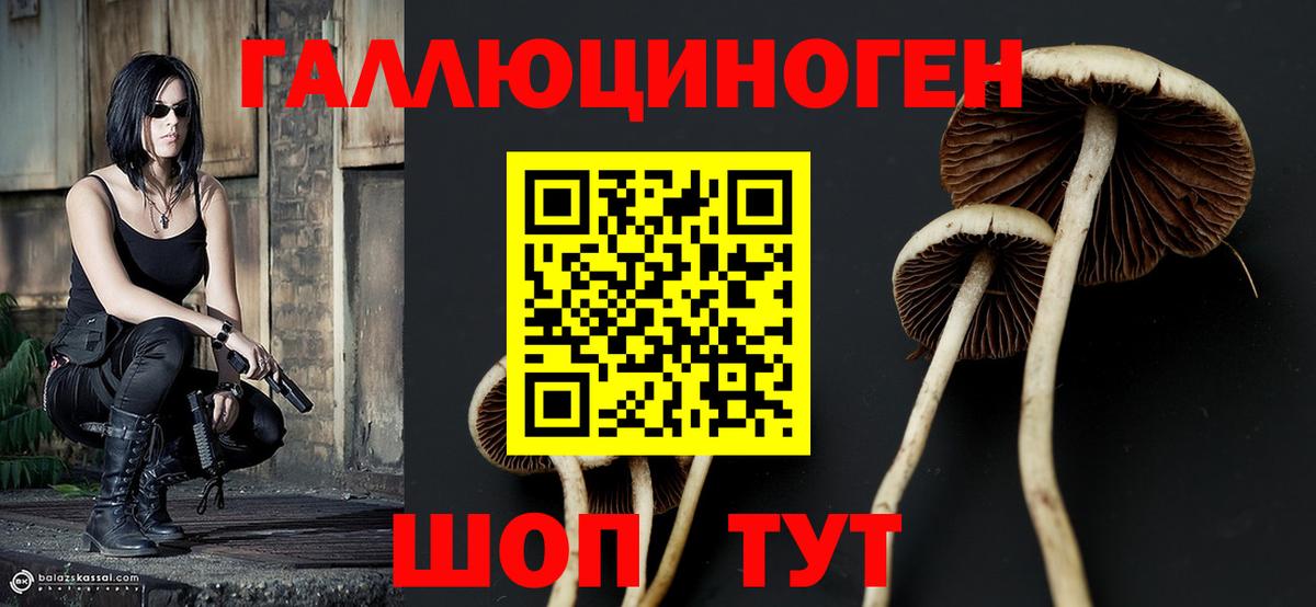 Псилоцибиновые грибы Psilocybe Мирный